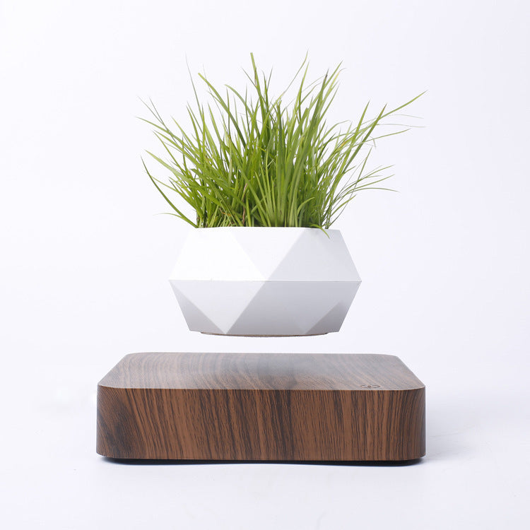 Magnetische Levitatie Plantenpot