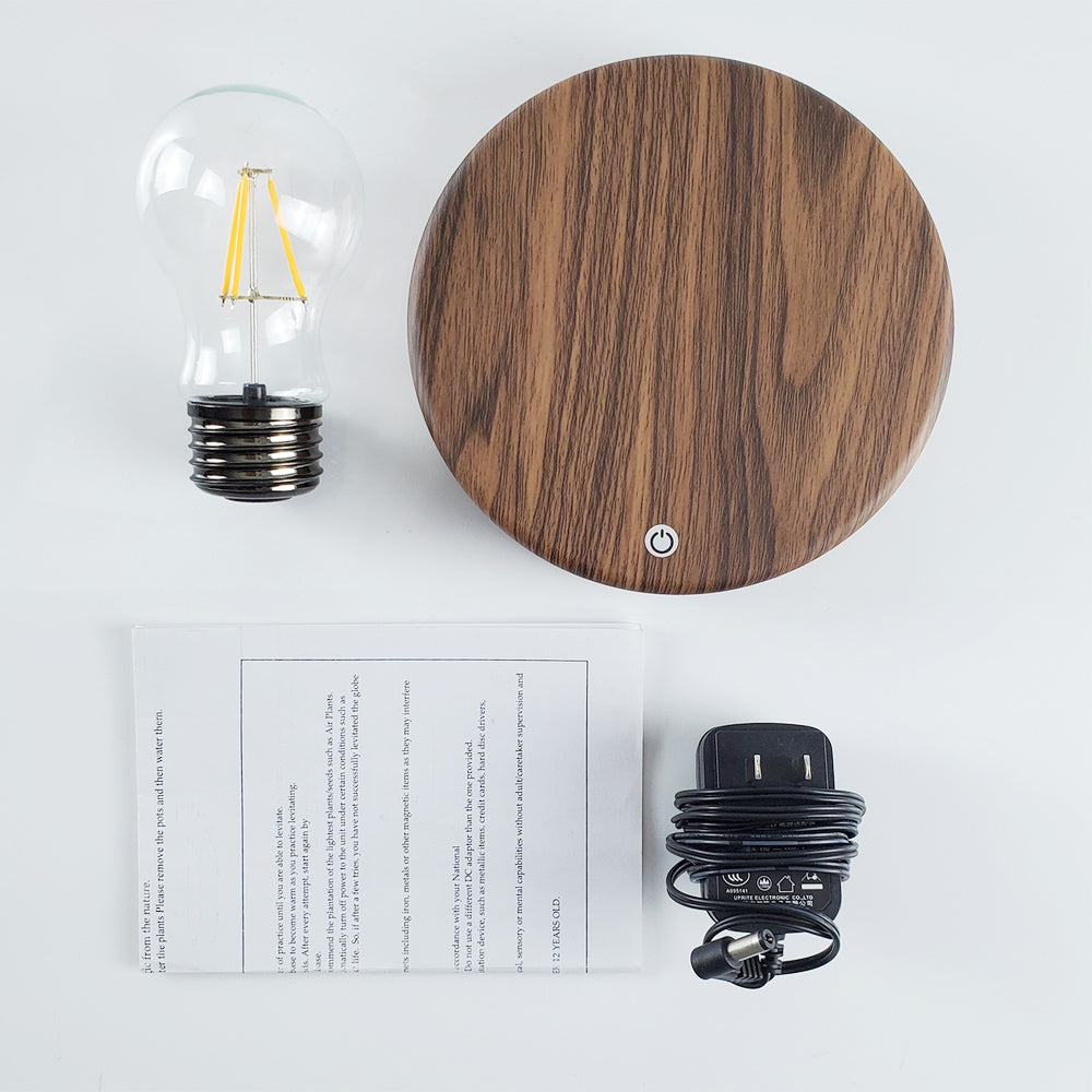 Magnetische levitatielamp