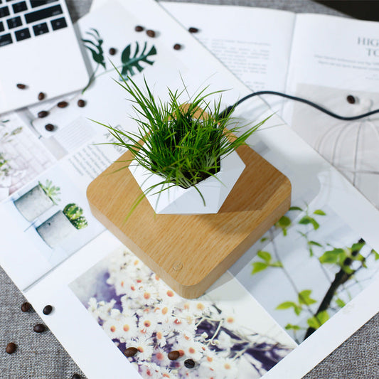Magnetische Levitatie Plantenpot
