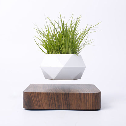 Magnetische Levitatie Plantenpot