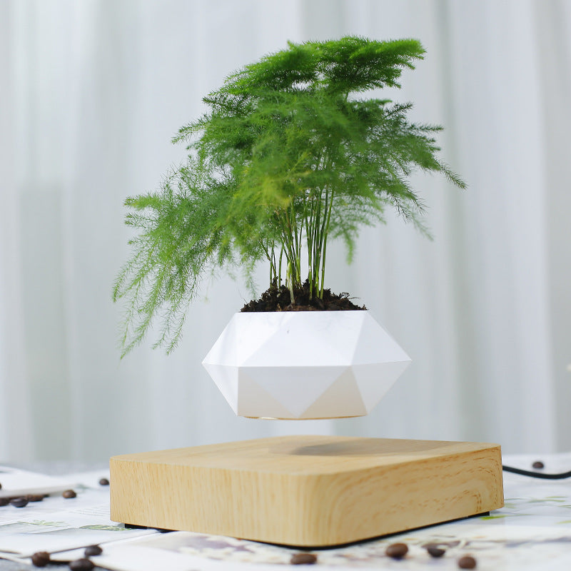 Magnetische Levitatie Plantenpot